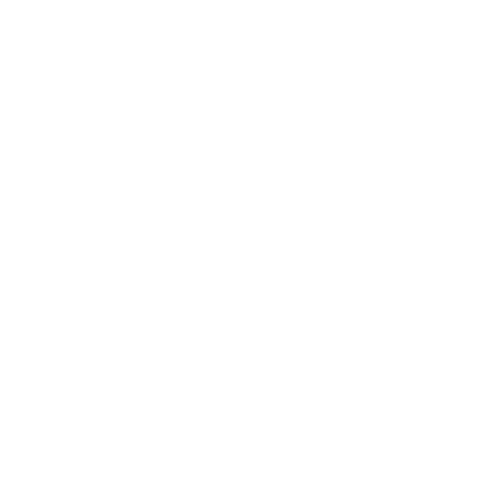 โลโก้ WordPress - บริการรับทำเว็บไซต์ WordPress